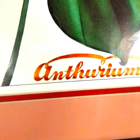 Anthurium Frame Artwork Signed by artist - Picture 2 of 4